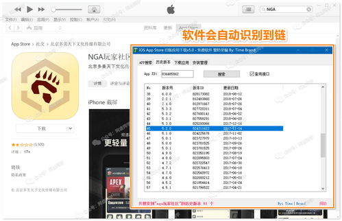 如何將CSDN軟件回退到舊版本
